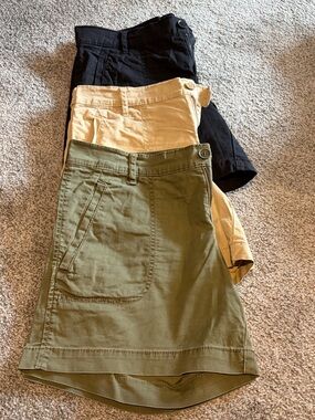 Ladies Shorts by Calvin Klein Jeans in Olive, Tan & Black